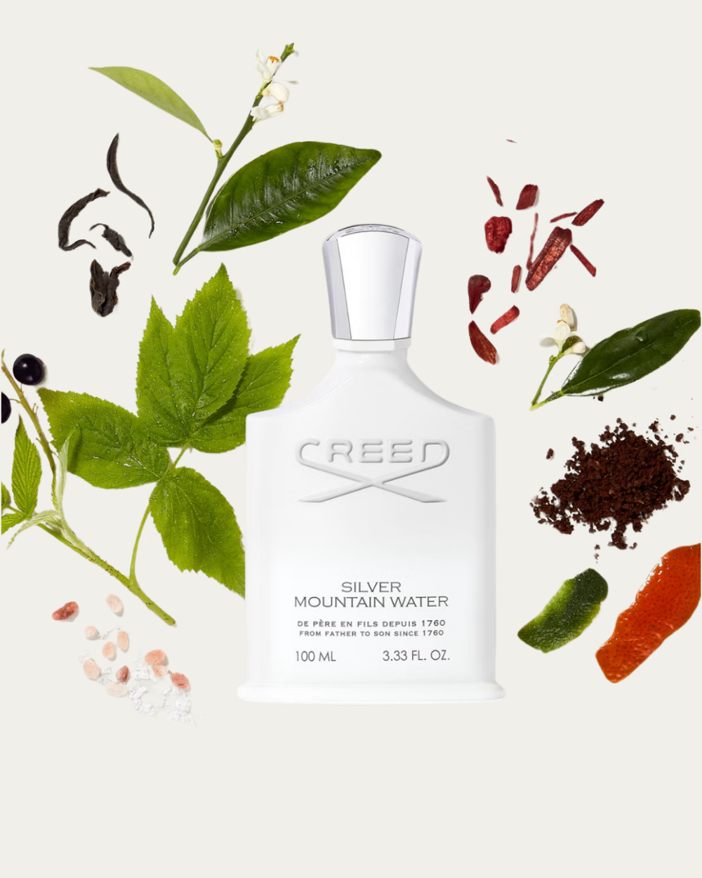 Creed | Silver Mountain Water EDP 100ml