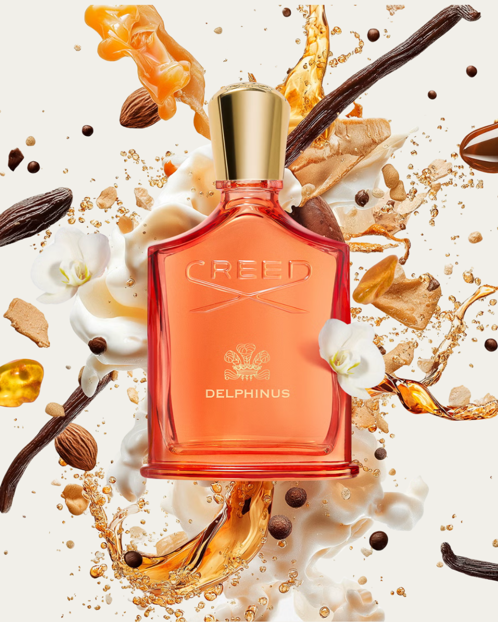 Creed | Delphinus EDP 50 ml