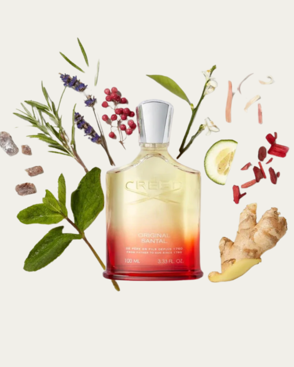 Creed | Original Santal EDP 100 ml